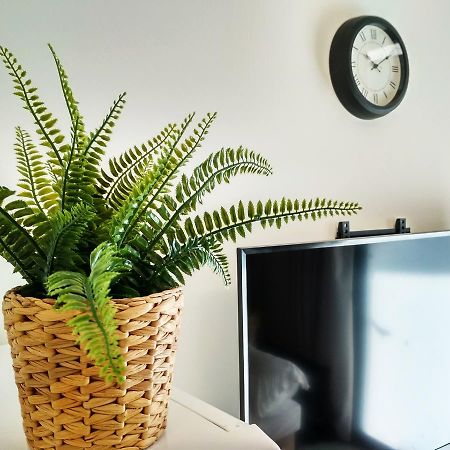 Beautiful Studio On Jerusalem Boulevard 特拉维夫 外观 照片